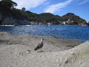 Felsen in Cotoncello