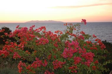 Aussicht von der Terrasse aus.