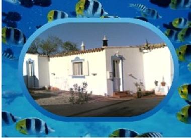 Ferienhaus in Sao Bras de Alportel (Algarve) oder Ferienwohnung oder Ferienhaus