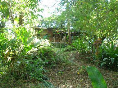 Ferienhaus in Dos Brazos (San Jose) oder Ferienwohnung oder Ferienhaus