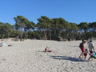 Ferienwohnung in Calvi (Haute-Corse) oder Ferienwohnung oder Ferienhaus