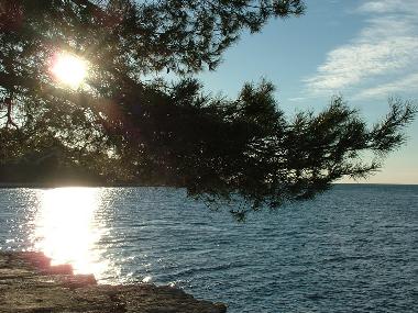 Ferienwohnung in pula stinjan (Istarska) oder Ferienwohnung oder Ferienhaus