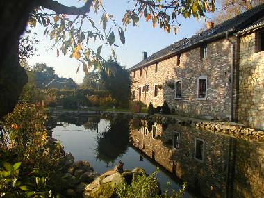 Schwimmteich im Sp�tsommer