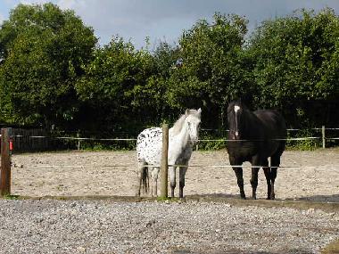 Ferienwohnung in Hombourg/B b.Aachen (Eifel und Region Aachen) oder Ferienwohnung oder Ferienhaus