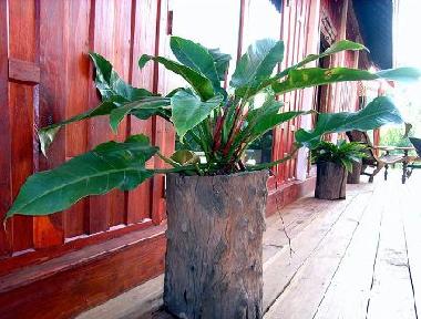 Ferienhaus in Udon Thai (Udon Thani) oder Ferienwohnung oder Ferienhaus