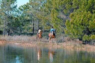 Ferienhaus in TAVIRA (Algarve) oder Ferienwohnung oder Ferienhaus