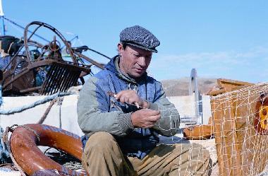 Ferienhaus in TAVIRA (Algarve) oder Ferienwohnung oder Ferienhaus