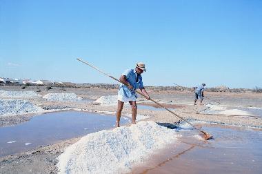 Ferienhaus in TAVIRA (Algarve) oder Ferienwohnung oder Ferienhaus