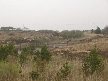 Ferienhaus in Annagry (Donegal) oder Ferienwohnung oder Ferienhaus