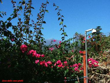 Dusche in frei mit Aetna