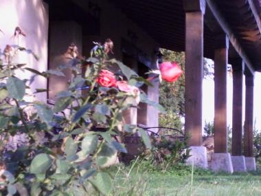 Ferienhaus in CANDELEDA-EL RASO (�vila) oder Ferienwohnung oder Ferienhaus