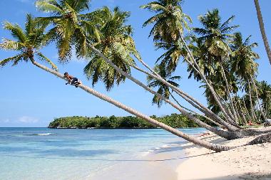 Chalet in Las Galeras - Saman� (Samana) oder Ferienwohnung oder Ferienhaus