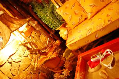 Chalet in Las Galeras - Saman� (Samana) oder Ferienwohnung oder Ferienhaus
