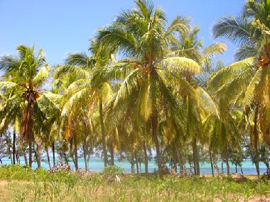 Ferienhaus in St. Francois (Rodrigues) oder Ferienwohnung oder Ferienhaus