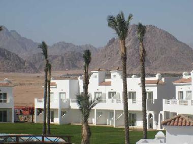 Ferienwohnung in Sharm El sheikh (Janub Sina') oder Ferienwohnung oder Ferienhaus