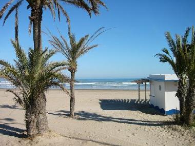Ferienwohnung in Playa Gandia (Valencia / Valncia) oder Ferienwohnung oder Ferienhaus