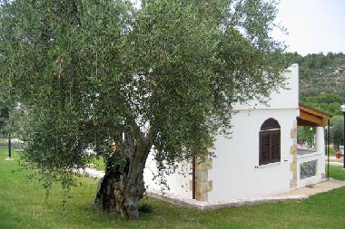 Ferienhaus in Pugnochiuso (Foggia) oder Ferienwohnung oder Ferienhaus