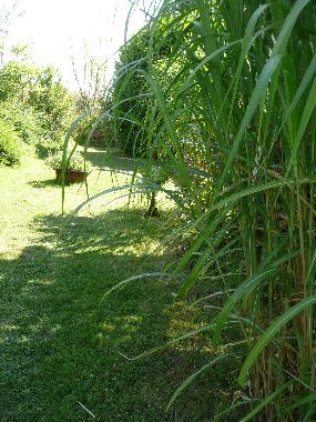 Ferienhaus in Lou (Sarthe) oder Ferienwohnung oder Ferienhaus