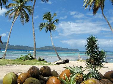 Ferienhaus in Las Galeras - Samana (Samana) oder Ferienwohnung oder Ferienhaus