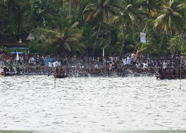 Boot in KOTTAYAM (Kerala) oder Ferienwohnung oder Ferienhaus