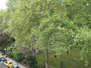ein Blick aus dem Fenster...