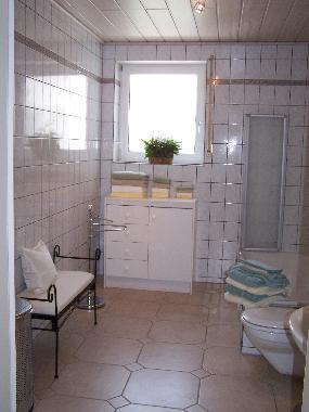 Apartment 1 Full Bathroom