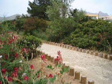 Ferienwohnung in puerto pollensa (Mallorca) oder Ferienwohnung oder Ferienhaus