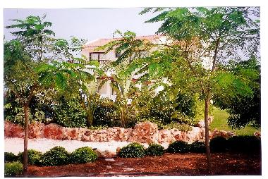 Ferienhaus in Protaras (Famagusta) oder Ferienwohnung oder Ferienhaus