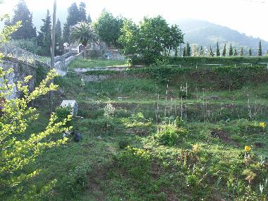Vis-a-vis im Sommer blhender Garten