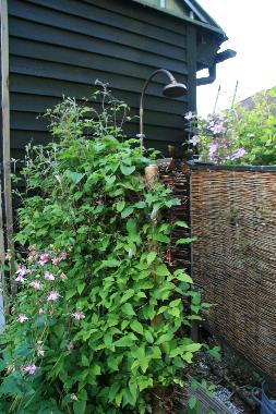 Ferienhaus in Copenhagen SV (Kobenhavn) oder Ferienwohnung oder Ferienhaus