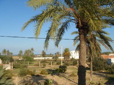 Ferienhaus in Midoun (Madanin) oder Ferienwohnung oder Ferienhaus