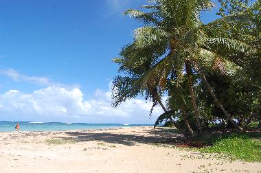Pension in Samana (Samana) oder Ferienwohnung oder Ferienhaus