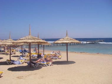 Ferienwohnung in sharm el sheikh (Shamal Sina