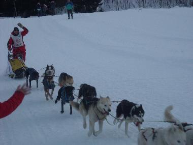 Ferienwohnung in LES CARROZ d'Araches (Haute-Savoie) oder Ferienwohnung oder Ferienhaus