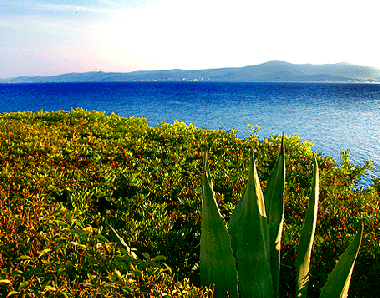 Ferienwohnung in Sukosan (Splitsko-Dalmatinska) oder Ferienwohnung oder Ferienhaus