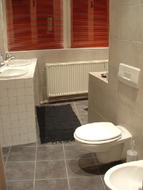 Ferienwohnung in Ljubljana (Ljubljana) oder Ferienwohnung oder Ferienhaus