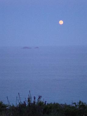 Ferienhaus in PORTO VECCHIO (Corse-du-Sud) oder Ferienwohnung oder Ferienhaus