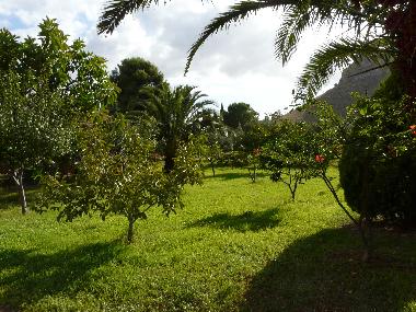 Teil des Gartens der Casa degli Ulivi