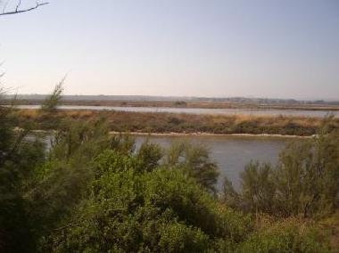 Ferienwohnung in Faro (Algarve) oder Ferienwohnung oder Ferienhaus