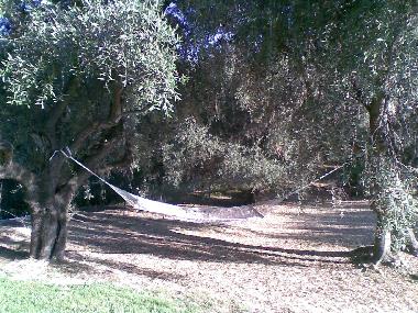 Ferienhaus in Diano Castello (Imperia) oder Ferienwohnung oder Ferienhaus
