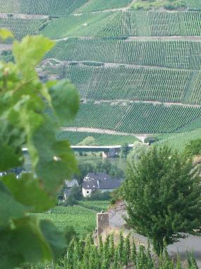 Ferienwohnung in Piesport (Mosel - Saar) oder Ferienwohnung oder Ferienhaus