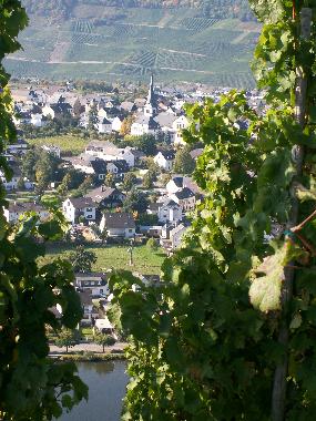Ferienwohnung in Piesport (Mosel - Saar) oder Ferienwohnung oder Ferienhaus
