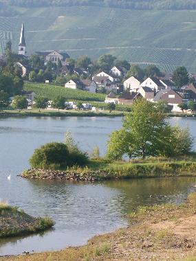 Ferienwohnung in Piesport (Mosel - Saar) oder Ferienwohnung oder Ferienhaus