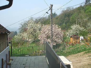 sicht us der k�che auf balkon und garten