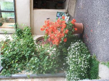 vor der wohnungst�re