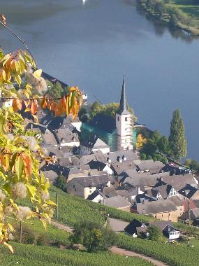 Ferienwohnung in Piesport (Mosel - Saar) oder Ferienwohnung oder Ferienhaus
