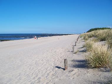 Der herrliche Sandstrand bei Zempin.