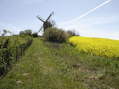 Frhling im Hinterland von Usedom