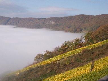 Ferienwohnung in Piesport (Mosel - Saar) oder Ferienwohnung oder Ferienhaus