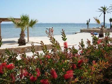 Ferienhaus in Torre Pacheco (Murcia) oder Ferienwohnung oder Ferienhaus